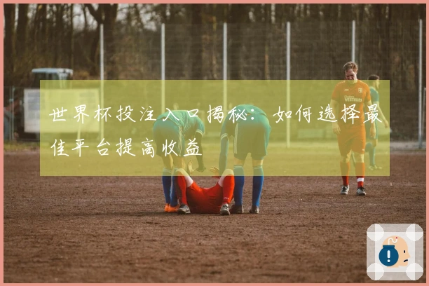 世界杯投注入口揭秘：如何选择最佳平台提高收益