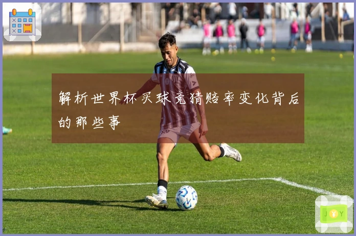 解析世界杯买球竞猜赔率变化背后的那些事