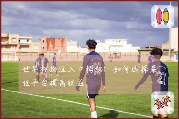 世界杯投注入口揭秘：如何选择最佳平台提高收益